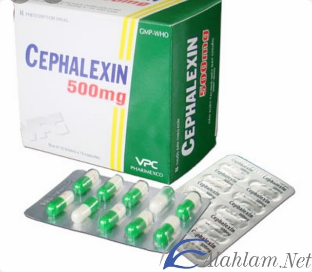 نشرة كبسولات سيفاليكسين Cephalexin