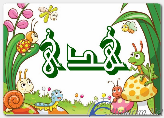 اسم هدى