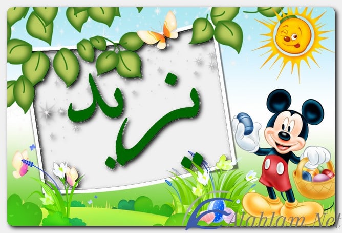 اسم يزيد