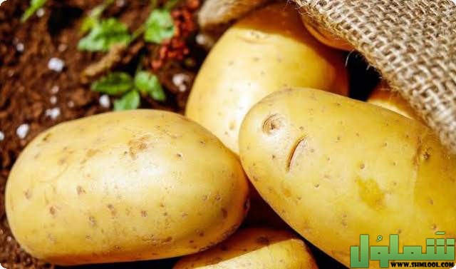 مدة هضم البطاطس في المعدة