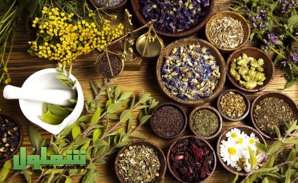 أسماء أعشاب لحرق الدهون مجربة 2021