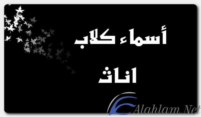 أسماء كلاب اناث