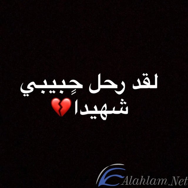اقوال عن الشهداء