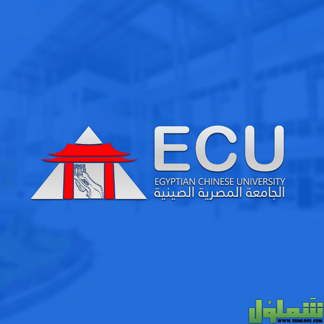 الجامعة المصرية الصينية
