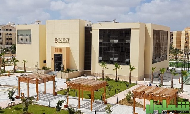 الجامعة المصرية اليابانية