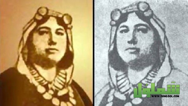 بحث عن ملك حفني ناصف