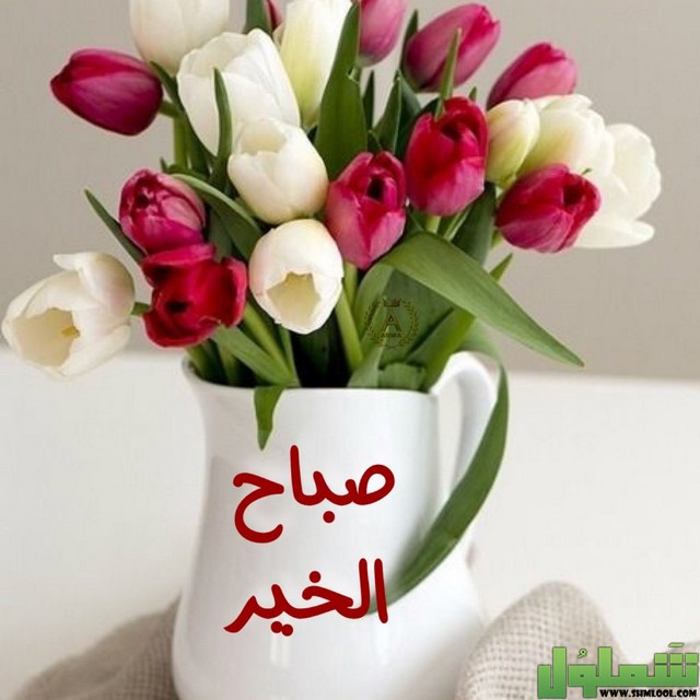 بوستات صباح الخير
