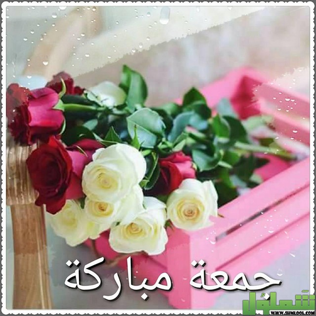 بوستات عن يوم الجمعة