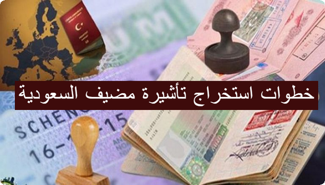 تأشيرة مضيف السعودية