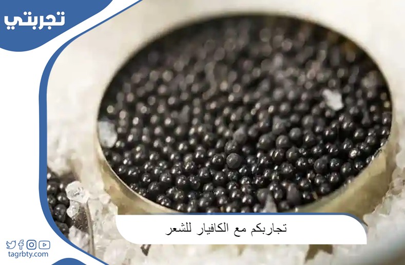 تجاربكم مع الكافيار للشعر