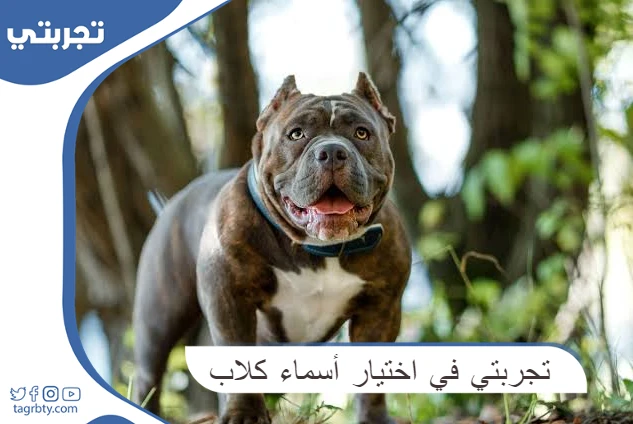 أسماء كلاب عربية