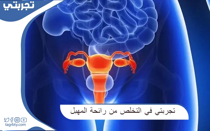 تجربتي في التخلص من رائحة المهبل