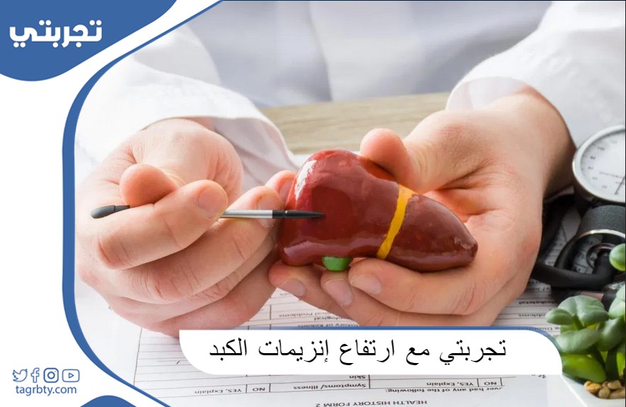 تجربتي مع ارتفاع إنزيمات الكبد