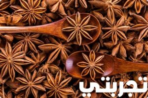 تجربتي مع اليانسون النجمي