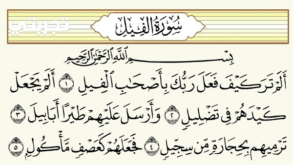 تجربتي مع سورة الفيل