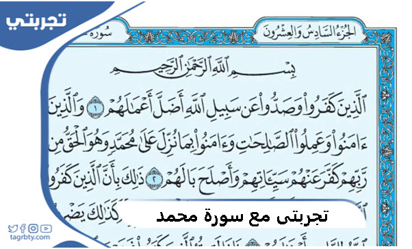 تجربتي مع سورة محمد