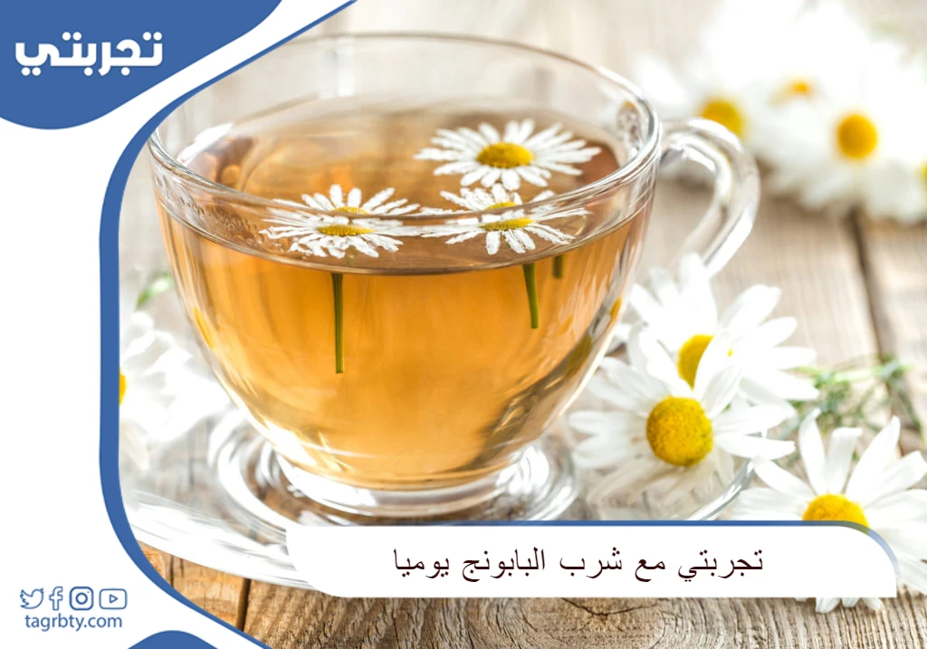 تجربتي مع شرب البابونج يوميا