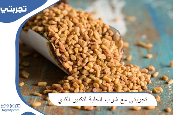 تجربتي مع شرب الحلبة لتكبير الثدي