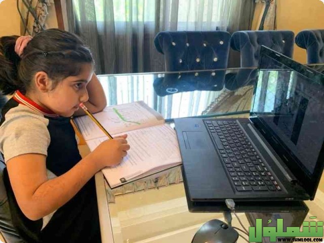 استراتيجيات جدول التعلم المطور