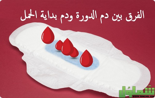 دم الحمل ودم الدورة الشهرية