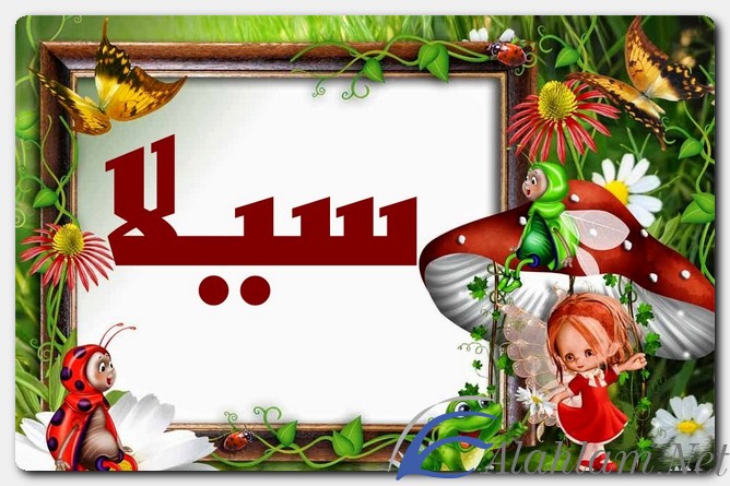 اسم سيلا