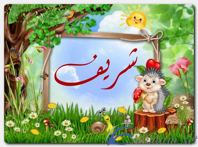 معنى اسم شريف وصفات حامل الاسم Sherif