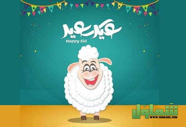 صور خروف العيد