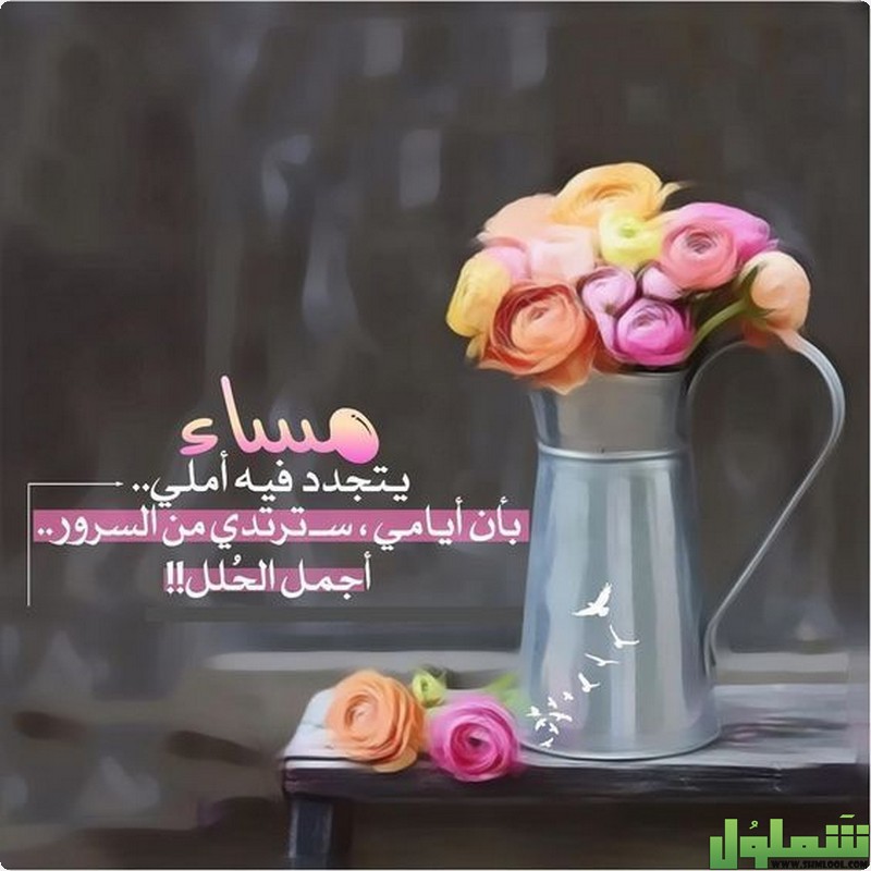 صور مساء الورد