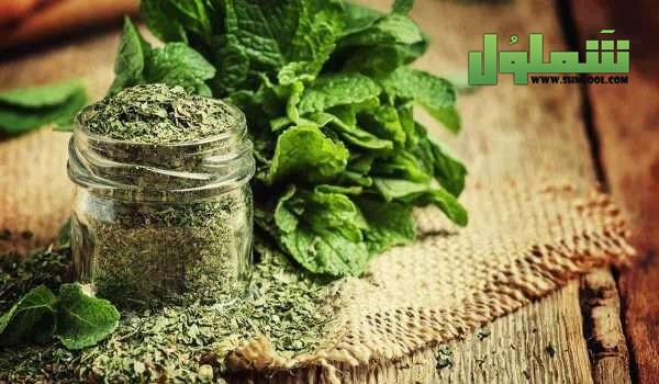 طرق منع الحمل بالأعشاب