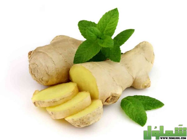 علاج جرثومة المعدة بالزنجبيل