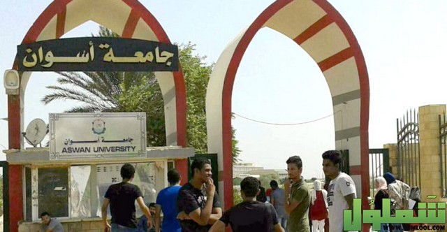عنوان جامعة أسوان