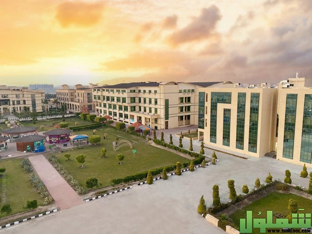 عنوان جامعة الدلتا
