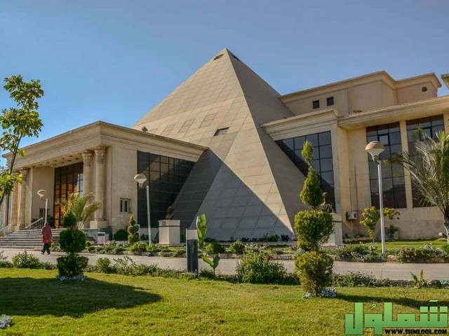 عنوان جامعة النهضة