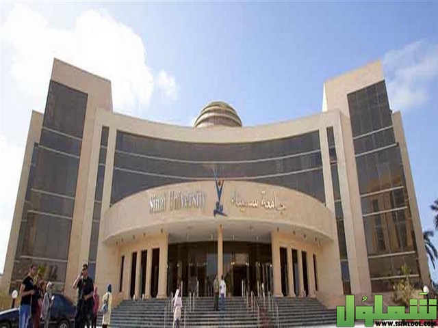 عنوان جامعة سيناء