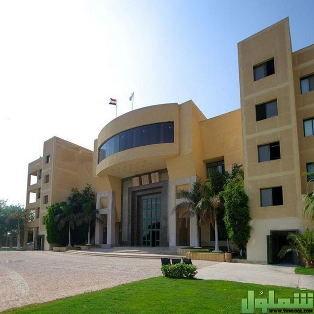 عنوان جامعة مصر الدولية