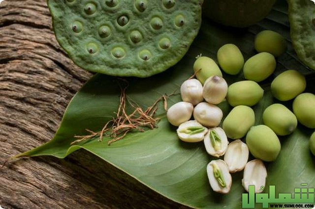 فوائد بذور اللوتس