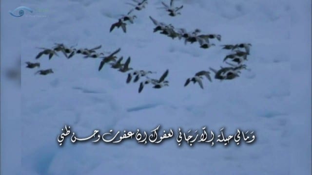 كلمات ابتهالات