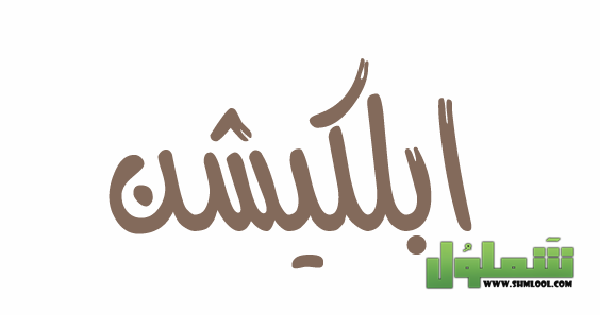 معنى كلمة ابلكيشن بالعربي